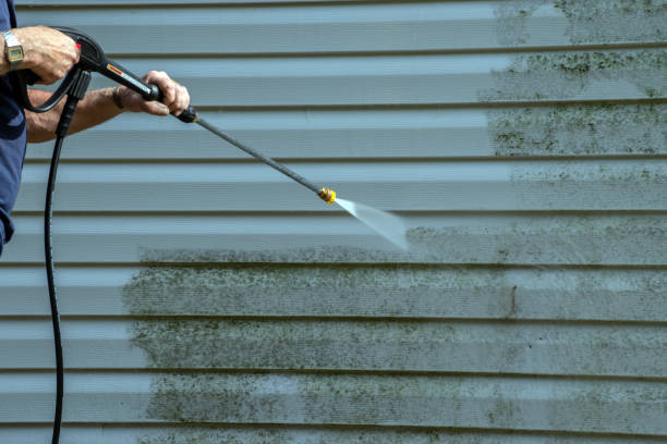 Best Fence Cleaning  in Malta, IL